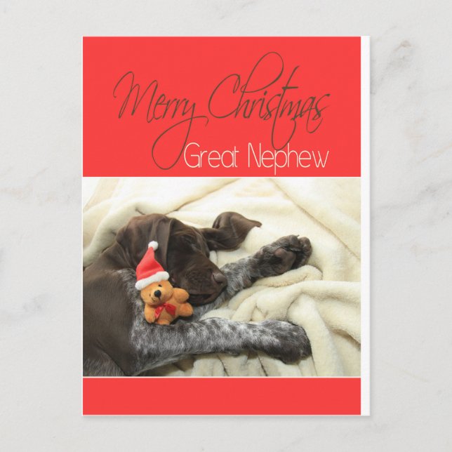 Glossy Grizzly Great Nephew Merry Christmas Holiday Postcard (Front)