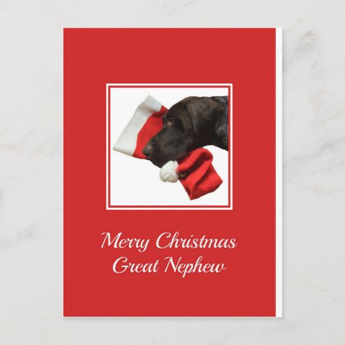Glossy Grizzly Great Nephew Merry Christmas Holiday Postcard