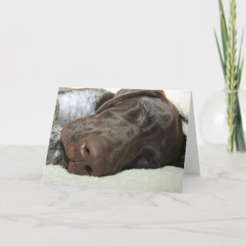 Glossy Grizzly Greeting Card by glossygrizzly at Zazzle