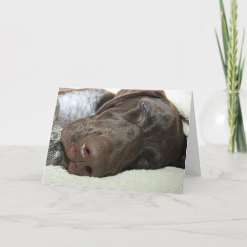 Glossy Grizzly Greeting Card