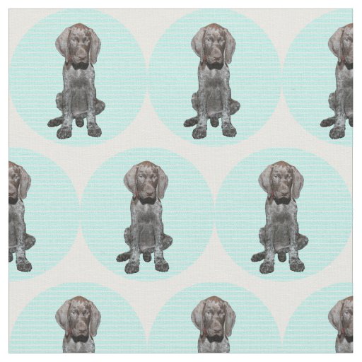 Glossy Grizzly in Blue Fabric