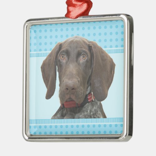 Glossy Grizzly in Blue Metal Ornament