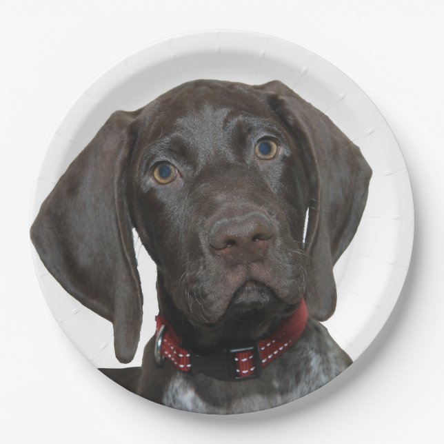 Glossy Grizzly Paper Plates (Front)