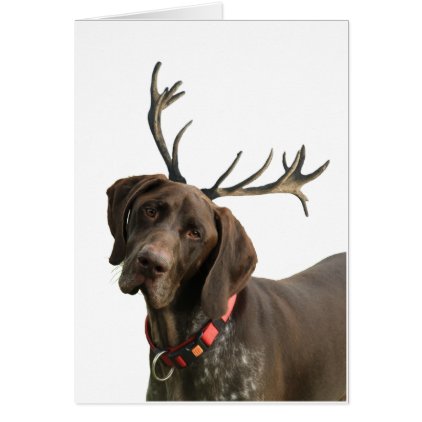 Glossy Grizzly Reindeer Pointer Card