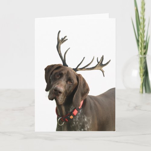 Glossy Grizzly Reindeer Pointer Holiday Card