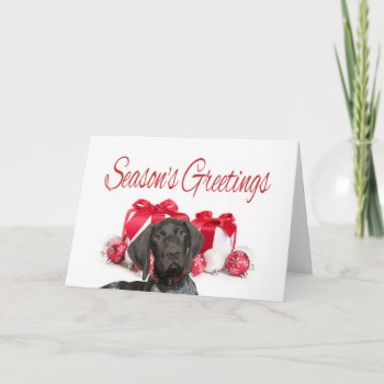 Glossy Grizzly Season's Greetings Holiday Card by glossygrizzly at Zazzle