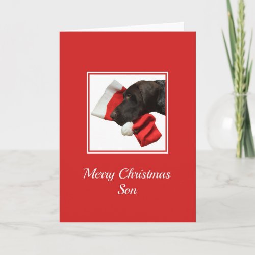 Glossy Grizzly Son Merry Christmas Holiday Card