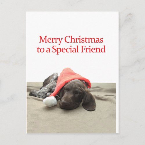 Glossy Grizzly Special Friend Merry Christmas Holiday Postcard