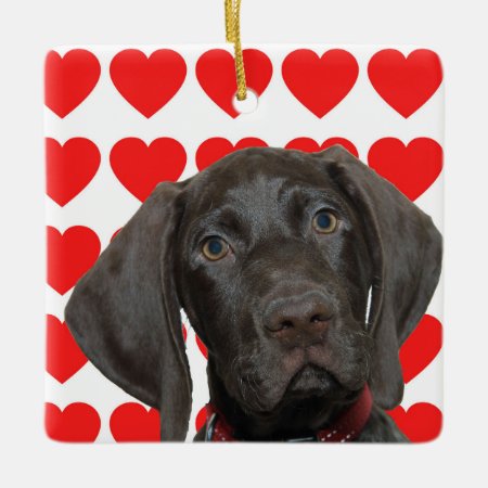 Glossy Grizzly Valentine's Puppy Love Ceramic Ornament