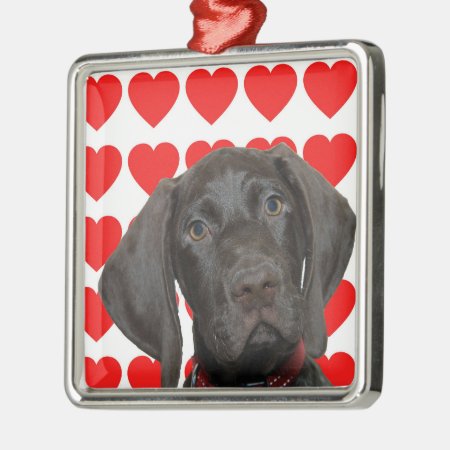 Glossy Grizzly Valentine's Puppy Love Metal Ornament