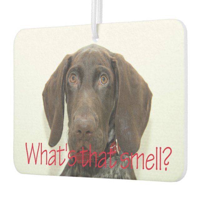 Glossy Grizzly what's that smell Air Freshener (Left)