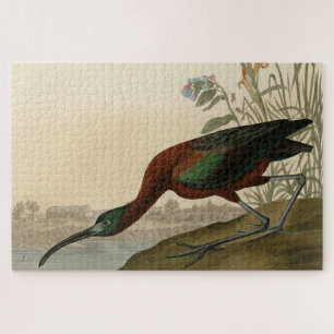 Glossy Ibis - from Audubon's Birds of America Jigsaw Puzzle