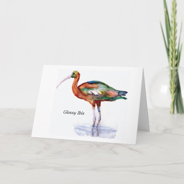 Glossy Ibis note card (Front)