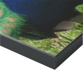 Glossy Panel - Peacock (Corner 9x18)