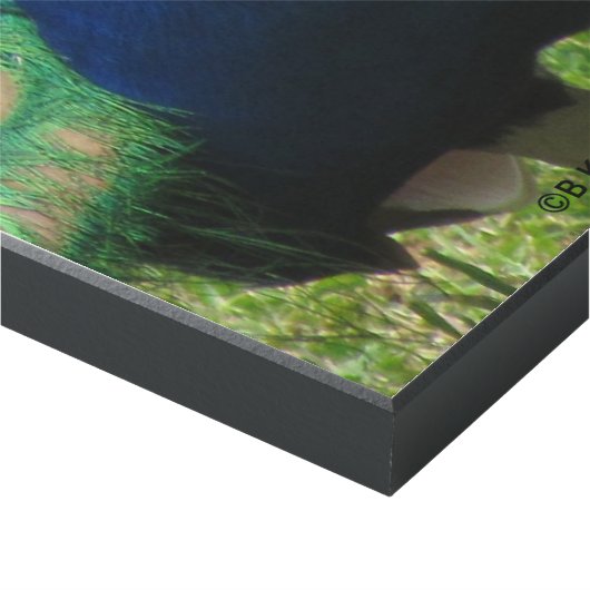 Glossy Panel - Peacock (Corner 9x18)