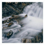 Glossy Poster – Premium High-Definition Wall Art 