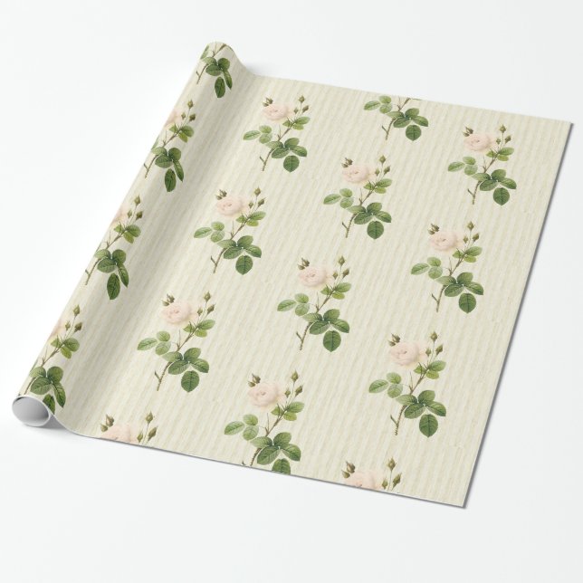 Glossy Wrapping Paper, Beige Roses Floral Paper (Unrolled)