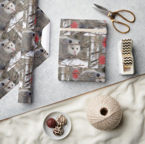 Glossy Wrapping Paper Opossum Nature