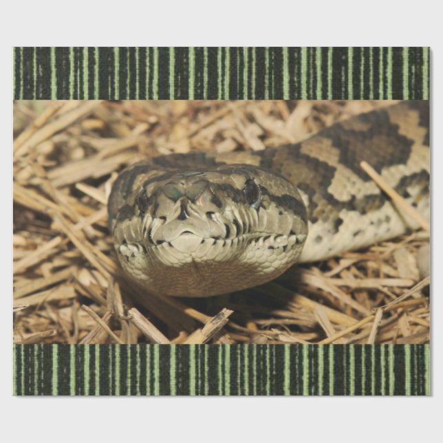 Glossy Wrapping Paper Snake (Flat)