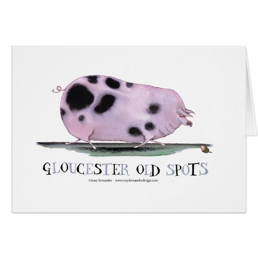 gloucester old spots, tony fernandes cards (Front Horizontal)