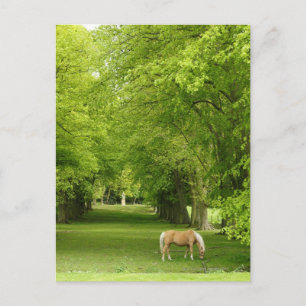 Gloucestershire, UK Postcard