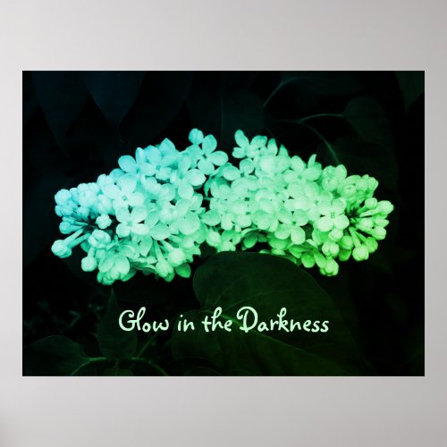 Glow in the Darkness Green Lilacs Photo Poster