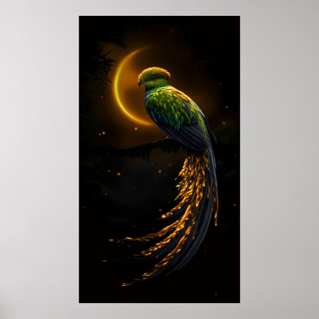 Glow of the Night Feather Poster (Front)
