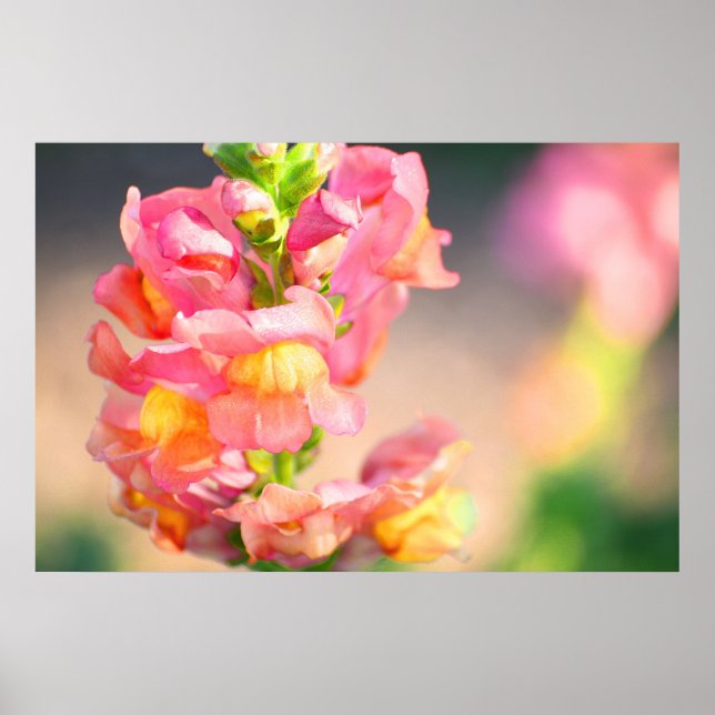 Glow on me poster (Front)