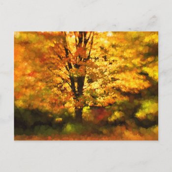 Glowing Autumn Tree Painting Postcard by Meg_Stewart at Zazzle