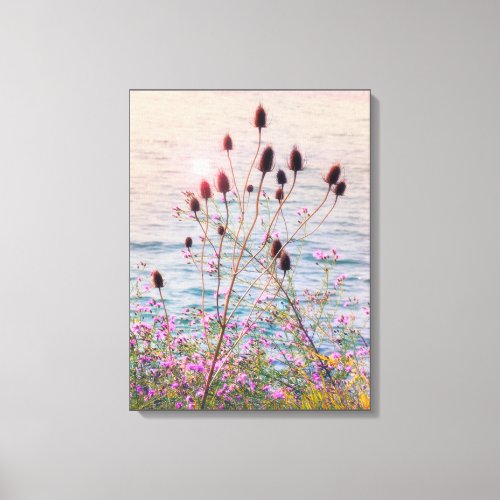 Glowing Back Lit Wild Teasels and Thistles Canvas Print