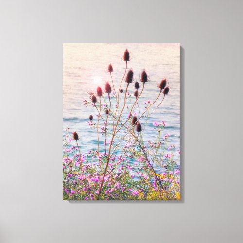 Glowing Back Lit Wild Teasels and Thistles Canvas Print