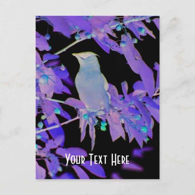 Glowing Bird On Branch Customizable Postcard (Front)