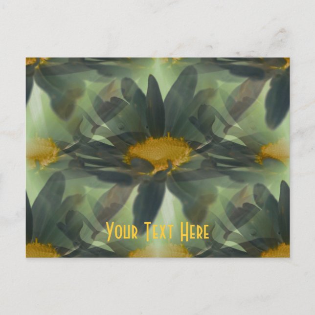 Glowing Black Daisies Floral Customizable Postcard (Front)