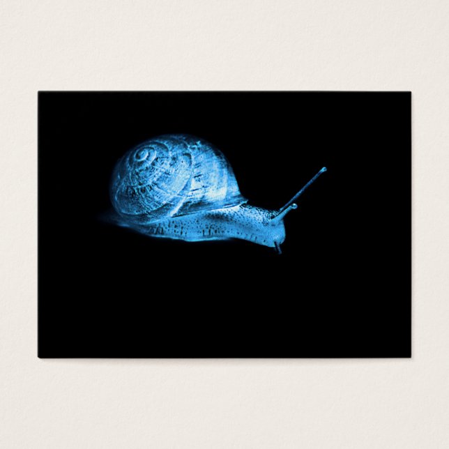 Glowing blue Neon snail (Front)