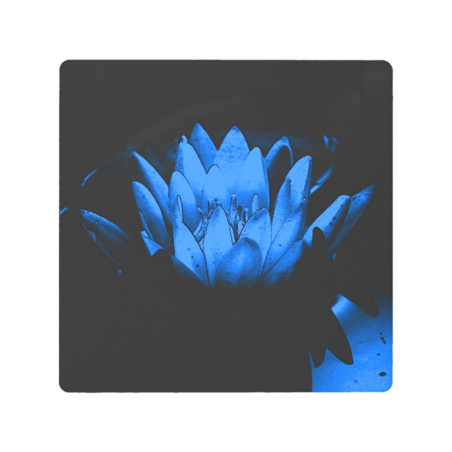 Glowing Blue Water Lily Lotus Flower Abstract Metal Print (Front)