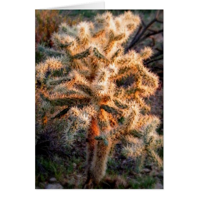 Glowing Cholla Cards (Front)