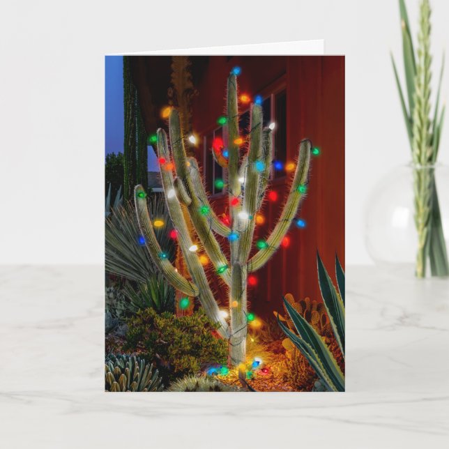 Glowing Christmas Cactus, Holiday Card (Front)