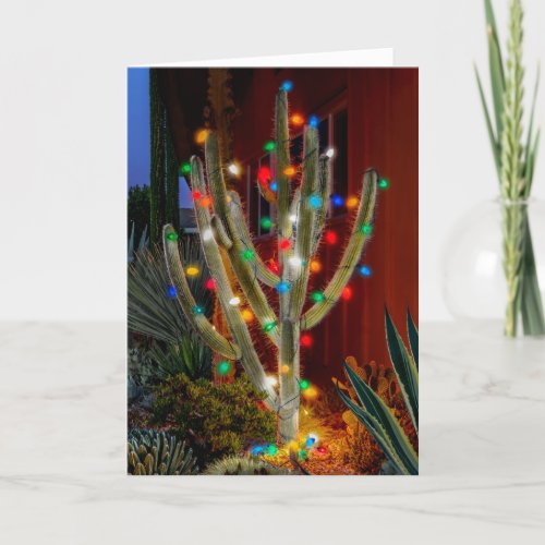 Glowing Christmas Cactus Holiday Card