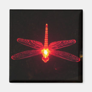 Glowing Dragonfly Magnet