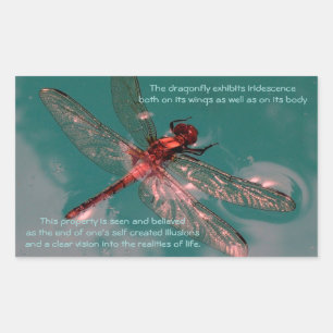 Glowing Dragonfly Sticker