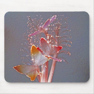 Glowing Fiber Optic Butterflies Mouse Pad
