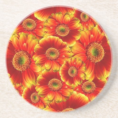 Glowing Gerbera Daisies Drink Coaster