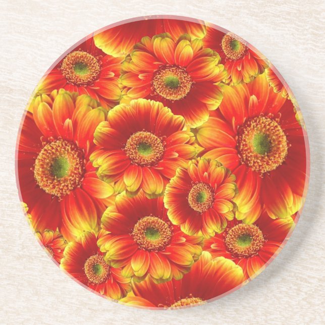 Glowing Gerbera Daisies Drink Coaster (Front)