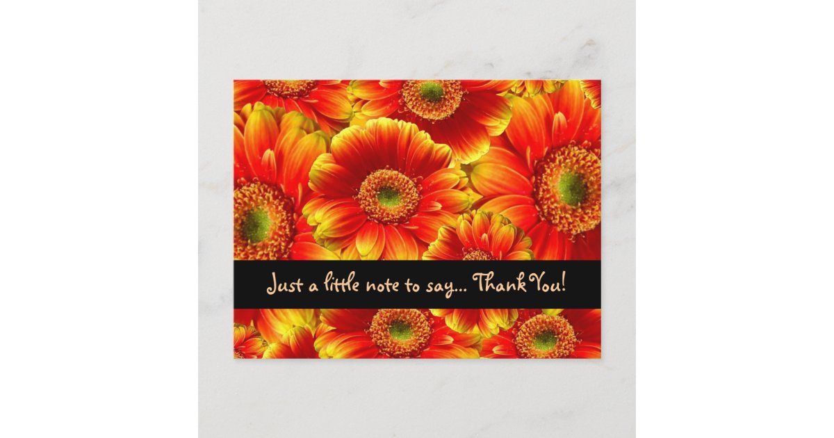 Glowing Gerbera Daisies Thank YOu Postcard | Zazzle