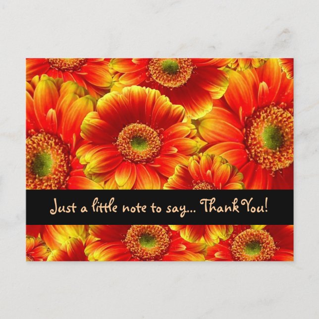 Glowing Gerbera Daisies Thank YOu Postcard (Front)