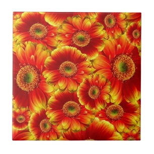 Glowing Gerbera Daisies Tile