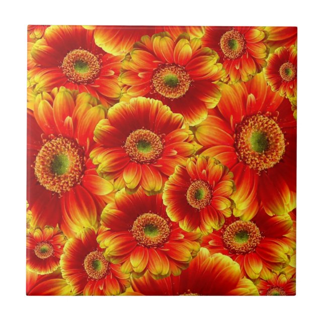 Glowing Gerbera Daisies Tile (Front)