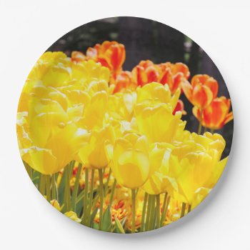 Glowing In Sunshine Paper Plates by FallnAngelCreations at Zazzle