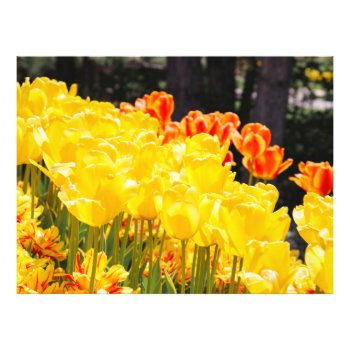 Glowing In Sunshine Photo Print by FallnAngelCreations at Zazzle