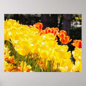 Glowing In Sunshine Poster by FallnAngelCreations at Zazzle